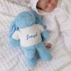 Personalised Millie & Ralph | Blue Bunny With Personalised Embroidered Jumper