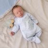 Clothing Dandelion Sleepsuits | Elephant & Bird Blue Cotton Sleepsuit | Millie & Ralph